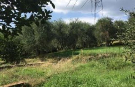 A vendre Casale Zone tranquille Terricciola Toscana