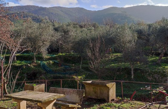 Para venda Tectos Zona tranquila Calci Toscana