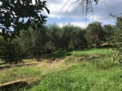 Casale Zone tranquille Terricciola Toscana
