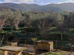 Tectos Zona tranquila Calci Toscana